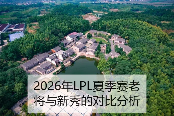 2026年LPL夏季赛老将与新秀的对比分析