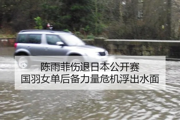 陈雨菲伤退日本公开赛 国羽女单后备力量危机浮出水面